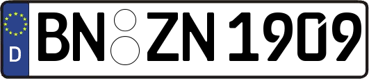 BN-ZN1909