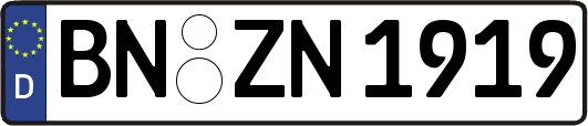 BN-ZN1919