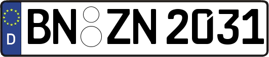 BN-ZN2031