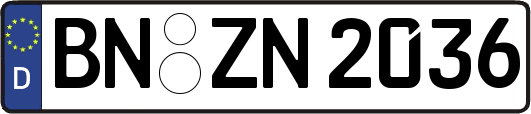 BN-ZN2036