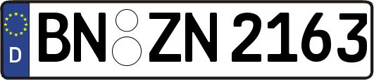 BN-ZN2163