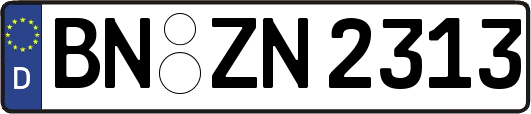 BN-ZN2313