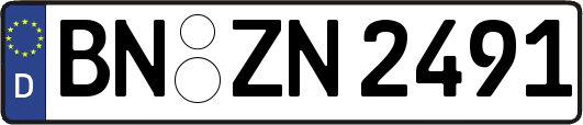 BN-ZN2491