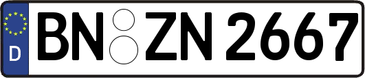 BN-ZN2667