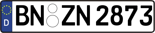 BN-ZN2873