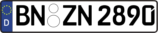 BN-ZN2890