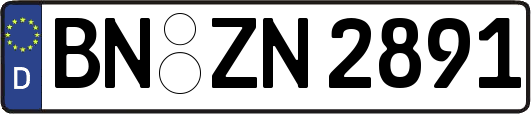 BN-ZN2891