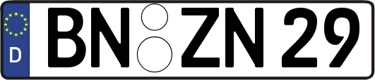 BN-ZN29