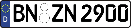 BN-ZN2900