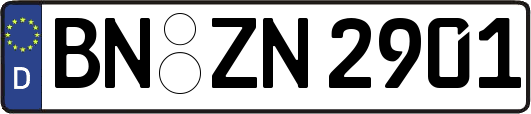 BN-ZN2901
