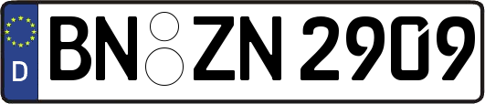 BN-ZN2909
