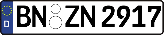 BN-ZN2917
