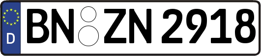 BN-ZN2918