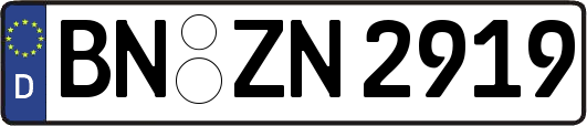 BN-ZN2919