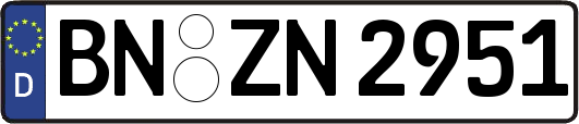 BN-ZN2951