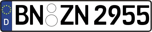BN-ZN2955