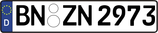 BN-ZN2973