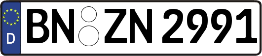 BN-ZN2991