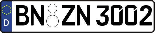 BN-ZN3002