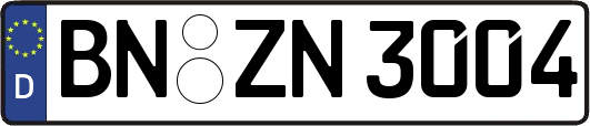 BN-ZN3004