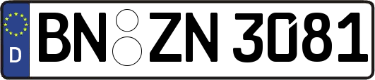 BN-ZN3081