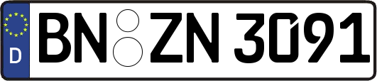 BN-ZN3091