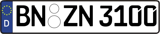 BN-ZN3100