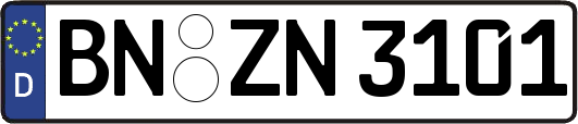 BN-ZN3101