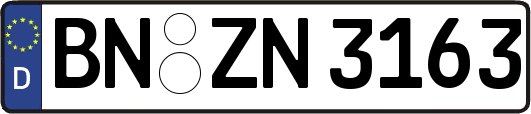 BN-ZN3163