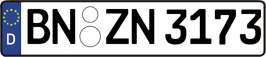 BN-ZN3173