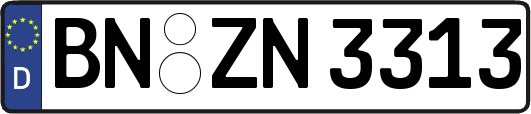 BN-ZN3313