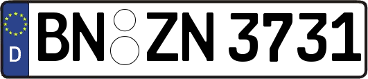 BN-ZN3731