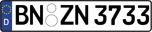 BN-ZN3733