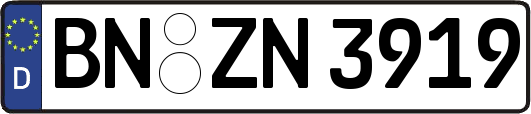 BN-ZN3919
