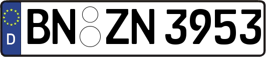 BN-ZN3953