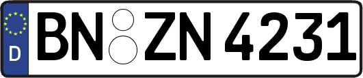 BN-ZN4231
