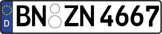 BN-ZN4667