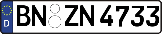 BN-ZN4733