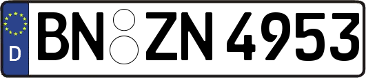 BN-ZN4953