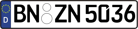 BN-ZN5036