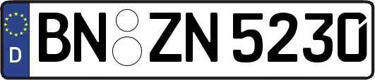 BN-ZN5230