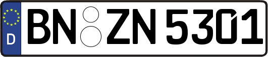 BN-ZN5301