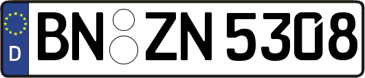 BN-ZN5308