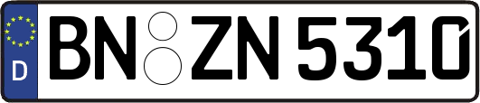 BN-ZN5310