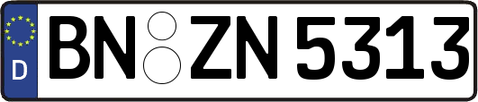 BN-ZN5313