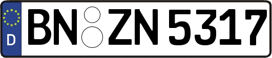 BN-ZN5317