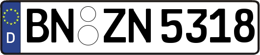 BN-ZN5318