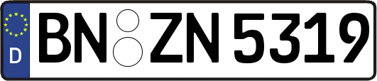 BN-ZN5319