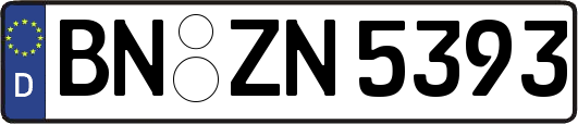 BN-ZN5393