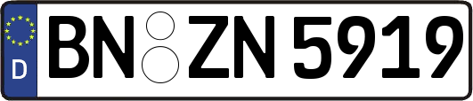 BN-ZN5919